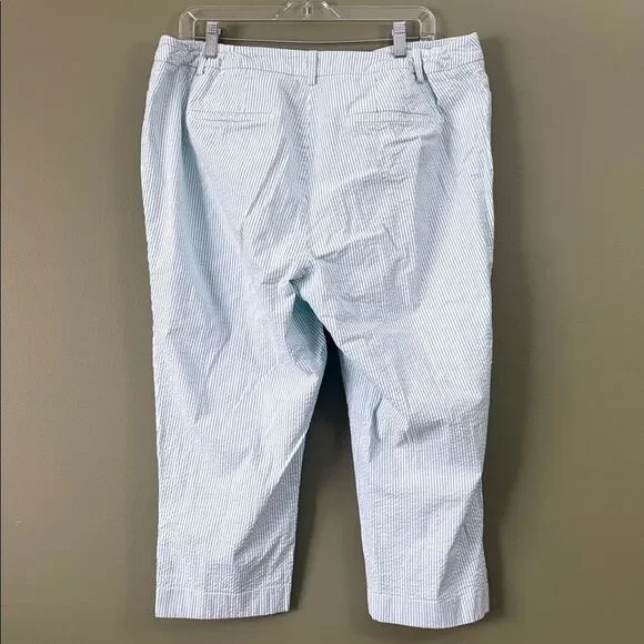 Talbots Blue White Striped Cropped Pants Elastic Waist Sides Sz 14W Plus - Picture 6 of 7